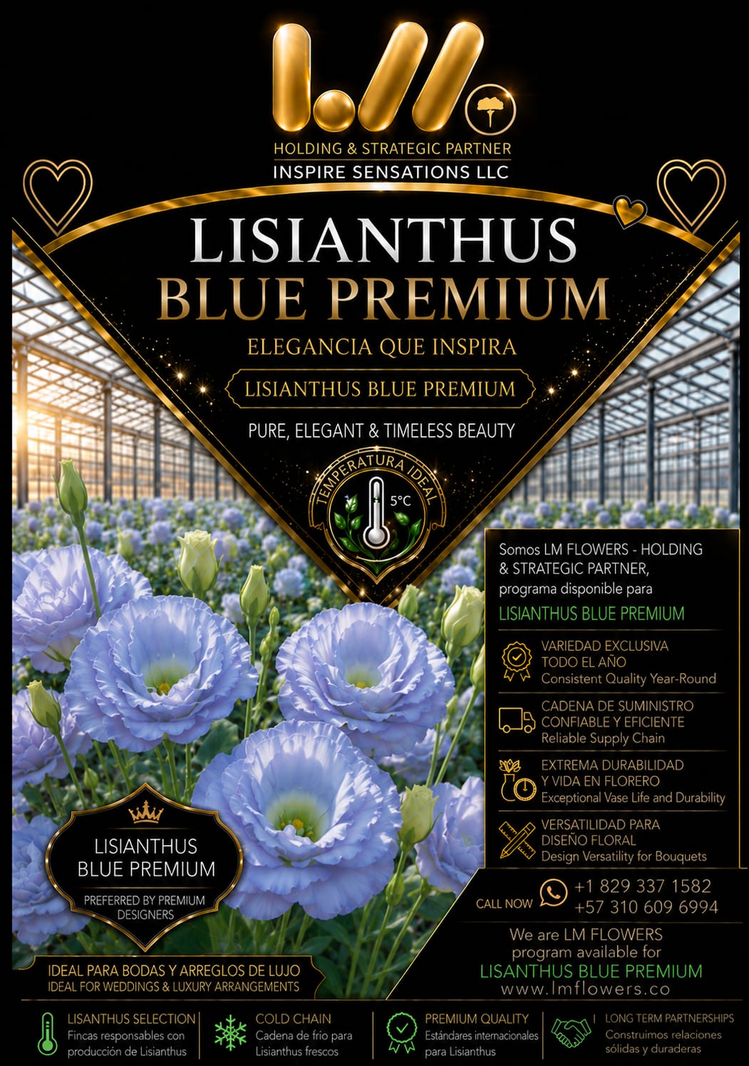 Lisianthus