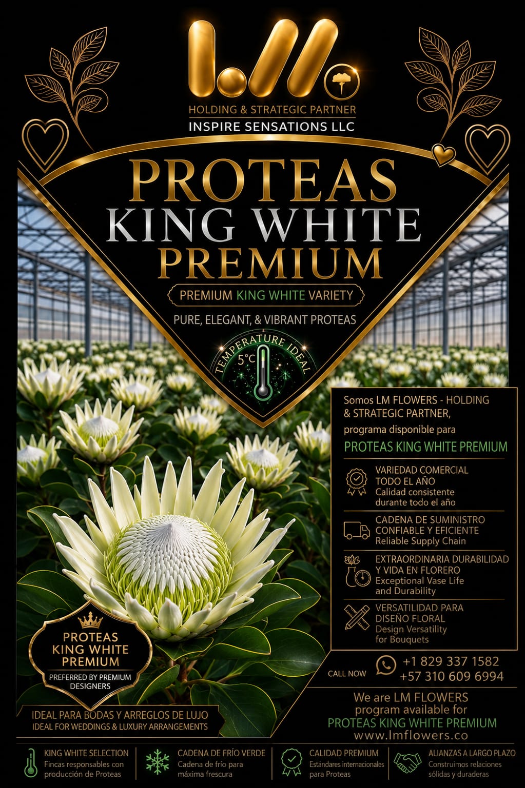 Proteas