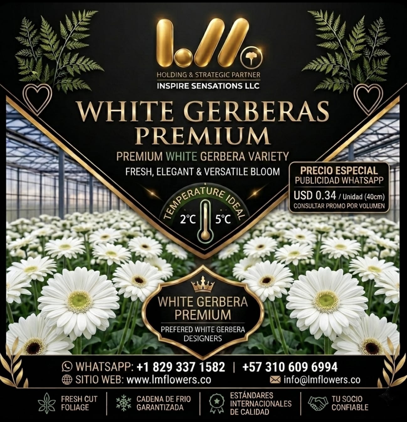 Diseño premium 09